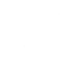 Cursos y actividades especiales según temporada